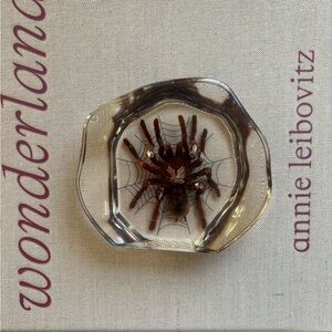 Real Tarantula In Acrylic Display